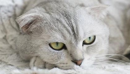 “湘超”联赛怀化赛区招商开启！黄金广告位+多维曝光，就差你的品牌来冠名